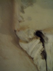 christchurch -2785.jpg